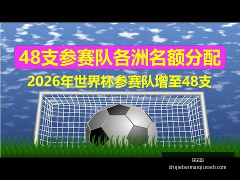 全红婵领衔,中国跳水队,五位奥运金,BG真人,BG真人平台,BG真人App,BG真人下载