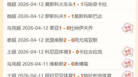 基菲萨大乐透期号专家推荐：质合分析前区十码预测